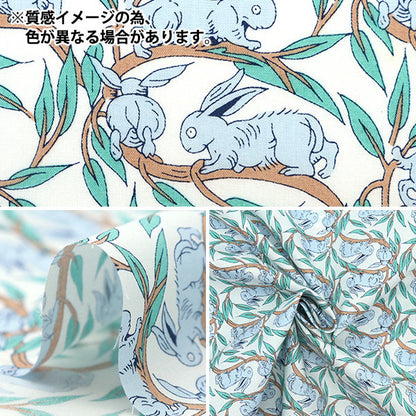 [De la quantité 5] tissu "Liberty tissu piccadilly poppin coton tail 3332262-cp" Liberty Japan Liberty Japan