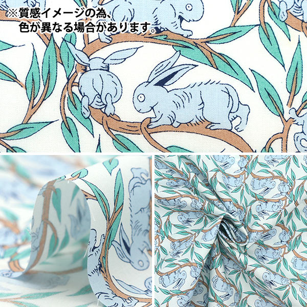 [From quantity 5] Fabric "Liberty Fabric Picadilly Poppin Cotton Tail 33332262-DP" Liberty Japan