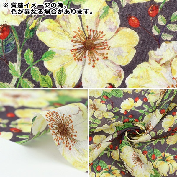 [來自數量5] 織物 “ Liberty Fabric Liyosel草坪布 Doreset Rose DC30096-CS] Liberty Japan