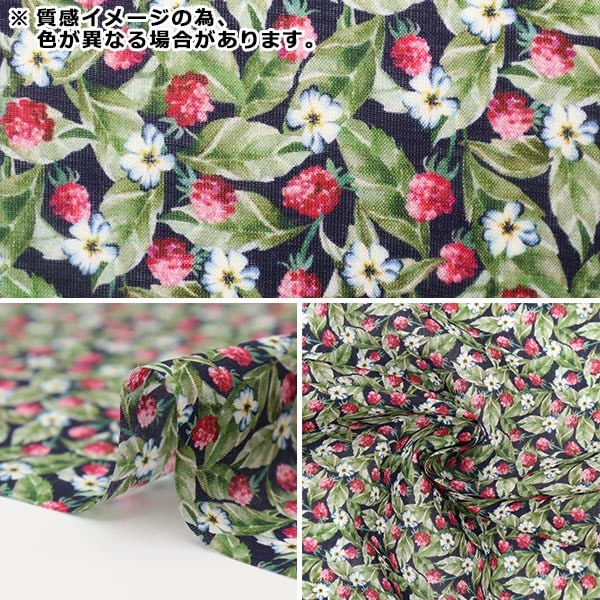 [來自數量5] 織物 “ Liberty Fabric Liyosel草坪布 Fiff Berry的DC30109-BS] Liberty Japan