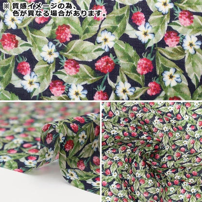 [De 5] Fabric "Liberty Fabric Liyoselle Préstamo Cincuenta veries DC30109-BS" Libertad Japón Libertad Japón