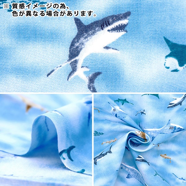 [来自数量5]织物“ Broad Sea Friend Blue SP2311-15C”