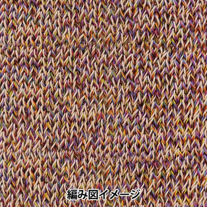 봄 / 여름털실 "Dora Marl 2nd Color"Richmore Rich