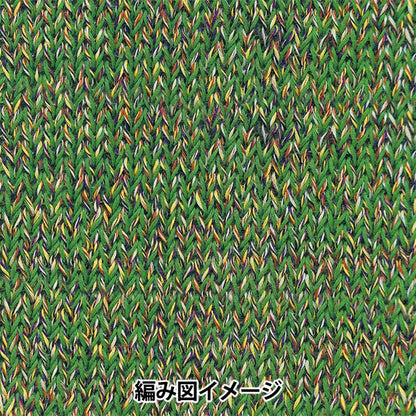 봄 / 여름털실 "Dora Marl 5th Color"Richmore Rich