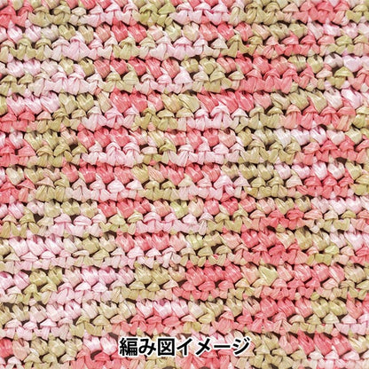 خيوط الغزل الحرفية "ايكو أندليا لون مختلط لون 262" Hamanaka