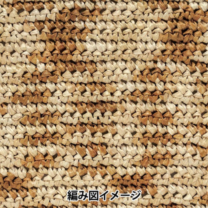 手芸糸 『エコアンダリヤ ミックスカラー 265番色』 Hamanaka ハマナカ