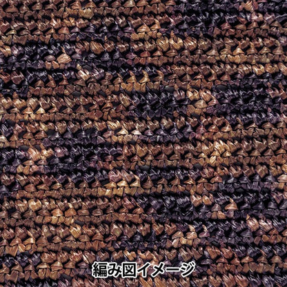 Crafting Yarn "Ecoandariya Mixed Color 267 Color" Hamanaka