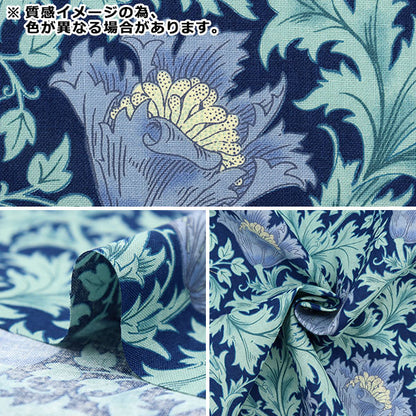 [From quantity 5] Fabric 『Sheeting V & A Anemone Cream x Navy VA10002-B]