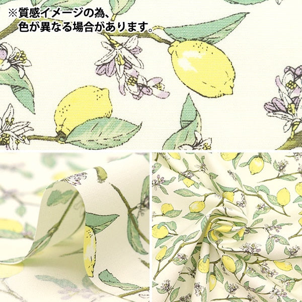 [De la cantidad 5] Fabric "Gray Lemon con ramas anchas KTS6951-C" Cotton Kobayashi Cotton Kobayashi Kobayashi Fibra