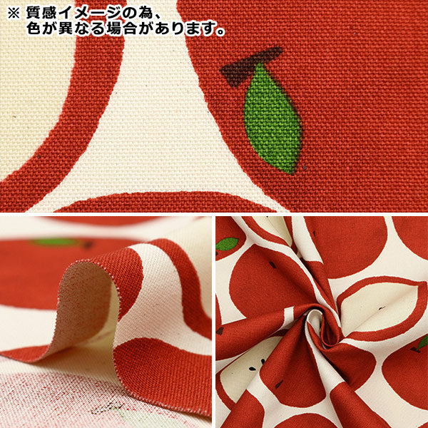数量5から】 生地 『オックスフォード リンゴ柄 青リンゴ SOPOA-OMENA
