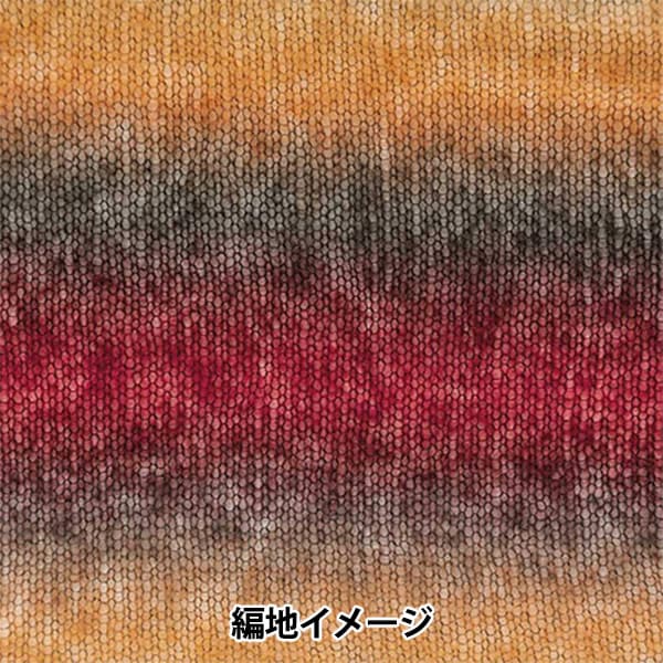 Autunno e invernoFilato "Eccellente Account Mohe 10 Gradtion 140 Color" Richmore Rich More