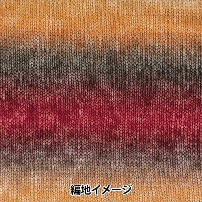 Autunno e invernoFilato "Eccellente Account Mohe 10 Gradtion 140 Color" Richmore Rich More