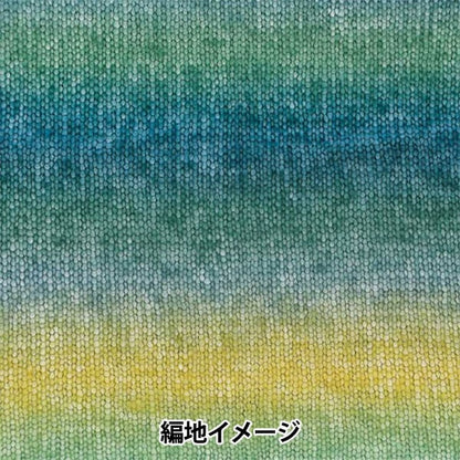 Autunno e invernoFilato "Eccellente Account Mohe 10 Gradtion 141 Color" Richmore Rich More