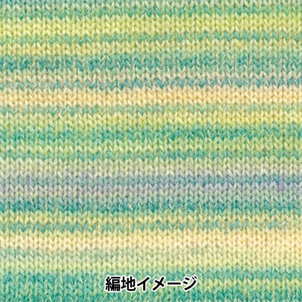 Autunno e invernoFilato "Dena 22nd Color" Hamanaka