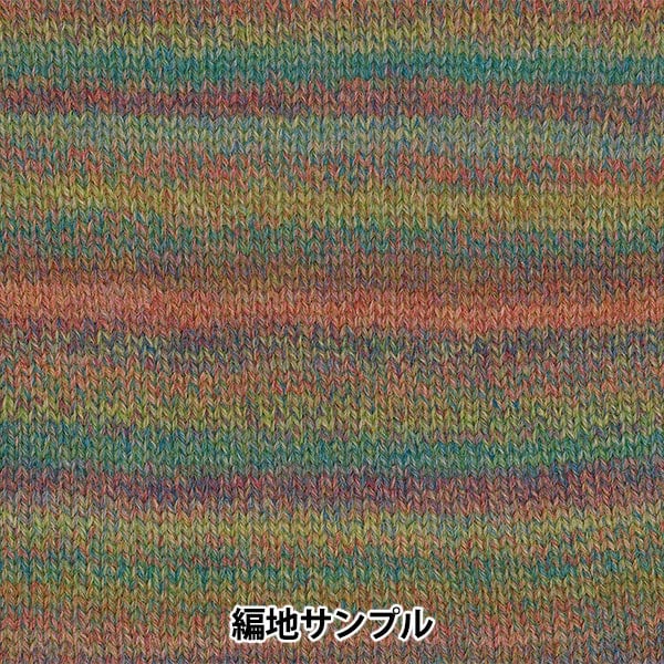 Осень и зимаПряжа «Ski Robel 8107 Color» Skiyarn Ski пряжа