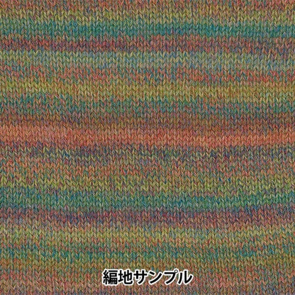 Осень и зимаПряжа «Ski Robel 8107 Color» Skiyarn Ski пряжа