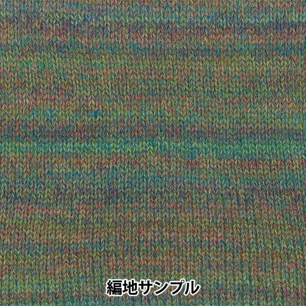 Осень и зимаПряжа «Ski Robel 8108 Color» Skiyarn Ski пряжа