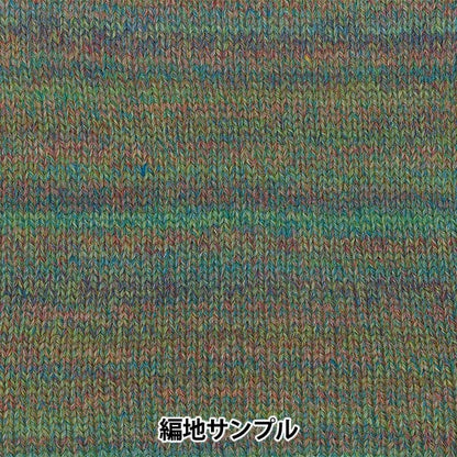 Осень и зимаПряжа «Ski Robel 8108 Color» Skiyarn Ski пряжа