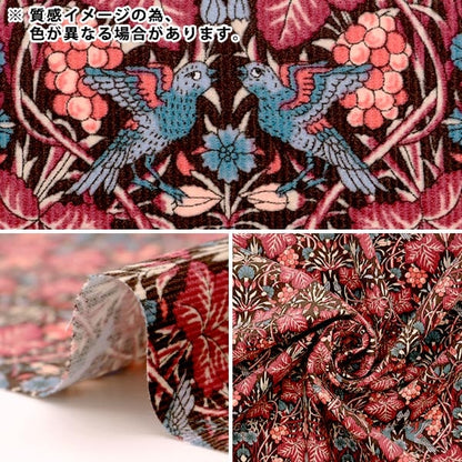 [Da 5] Fabric "Liberty Fabric Scoloy Stampa Vine Thief 1223204l117ja" Liberty Japan Liberty Giappone