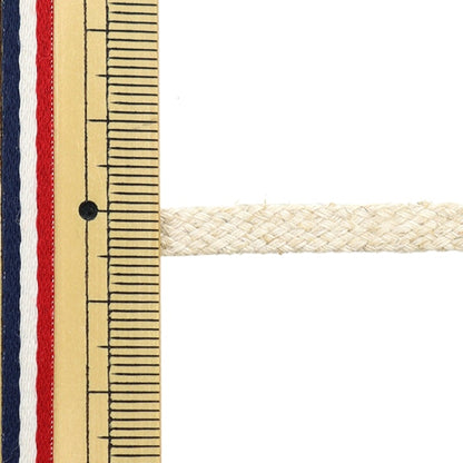 [수량 5에서] 수공예 끈 "대마 블렌드 무료 코드 플랫 스트링 0 번호 114-62"Darin Darling