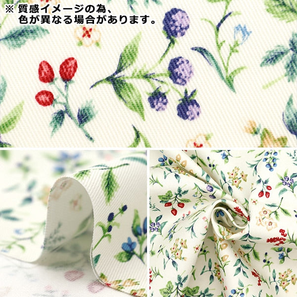 [来自数量5] 织物 “ Twill Berry Garden Purple twbeg-pp”