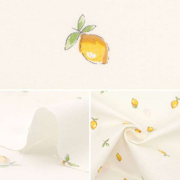 [From quantity 5] Fabric 『Sheeting Lemon White NO-LEMON-A]