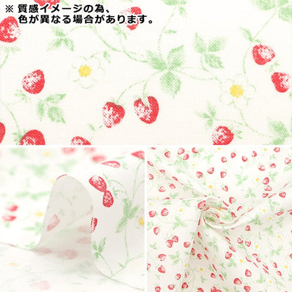 [From quantity 5] Fabric 『Sheeting Ichigo Natural NO-STRA-B]