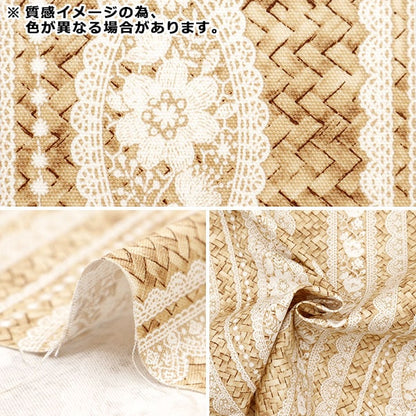 [From quantity 5] Fabric 『Oxford Lace x Basket Striped Pattern B YPA-41010-1B] KOKKA