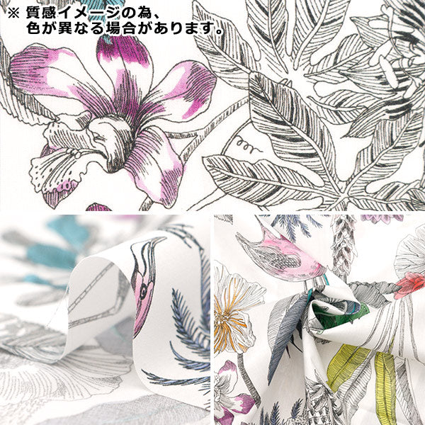 [الكمية تبدأ من 5] قماش "Liberty Fabrics Tana Lawn Darwin's Journey 3634108-24BU" Liberty Japan Liberty Japan