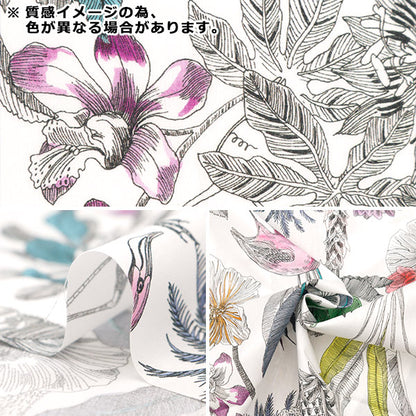 [من الكمية 5] القماش "Liberty Fabrics Tana Lawn Darwin's Journey 3634108-24CU" Liberty Japan Liberty Japan