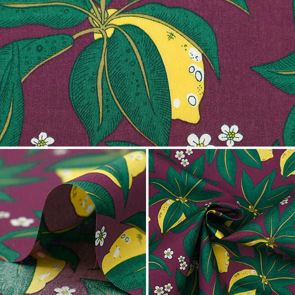 [From quantity 5] Fabric "Liberty Fabric Tana lawn Citropress 3634195-24AU] Liberty Japan