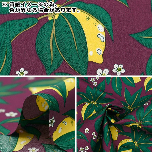 [De 5] Fabric "Liberty Fabric Tanalone Citron Toropress 3634195-24bu" Libertad Japón Libertad Japón