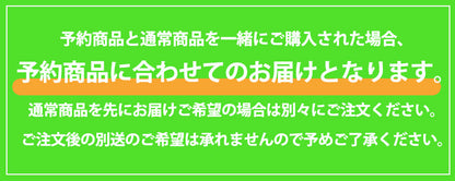 2024年 お楽しみ袋 『羊毛フェルトお楽しみ袋 1980円+税』