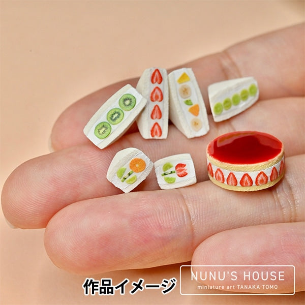 レジン材料 『ミニチュア 田中智プロデュース フルーツの断面 1 RC-TNK