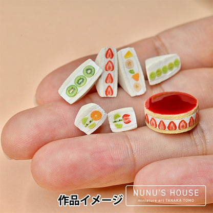 Resin material "Miniature Satoshi Tanaka Produced Fruit cross section 2 RC-TNK-119" resin club