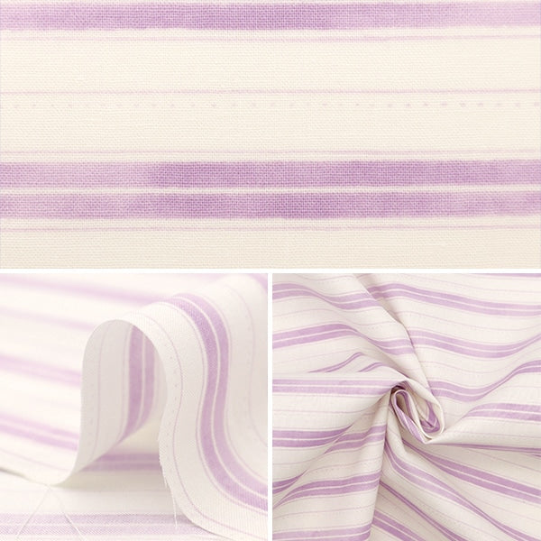 [From quantity 5] Fabric 『Scare Print Friendly Border Purple SQFRBO-PP]