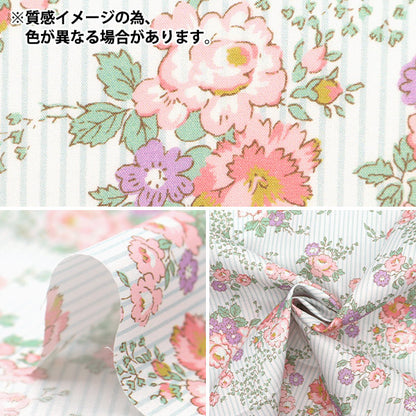 [来自数量5] 织物 “自由结构 塔纳草坪 Lydia Stripe DC33558-XE] Liberty Japan