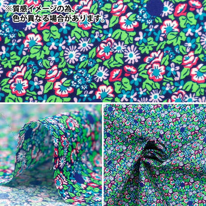 [Aus Menge 5] Stoff "Liberty Fabric Tanalone Avasance Spot DC33571-XE" Liberty Japan