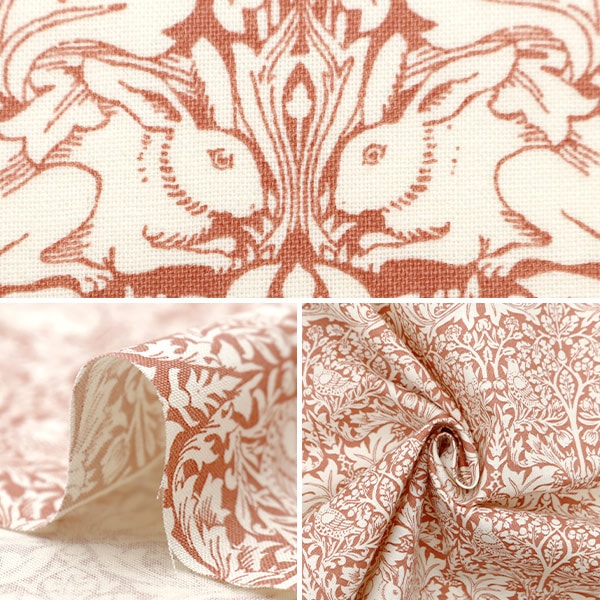 [From quantity 5] Fabric 『Sheeting V & A Brother Rabbit Orange VA10013-A]