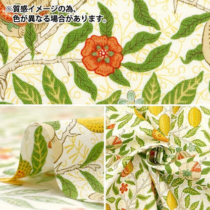 [De la cantidad 5] Fabric "Hojas V y un fruta verde VA10017-D"