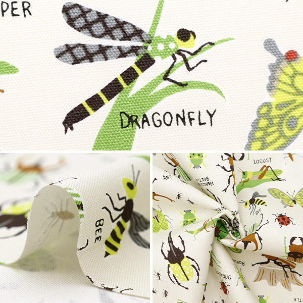 [Aus Menge 5] Stoff 『Oxford Buntes Canvas Insect Picture Book weißer Kokans-inc-wh] KOKKA