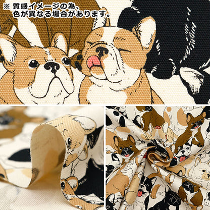 [From quantity 5] Fabric 『Oxford French bulldog light beige OX35406-1B]