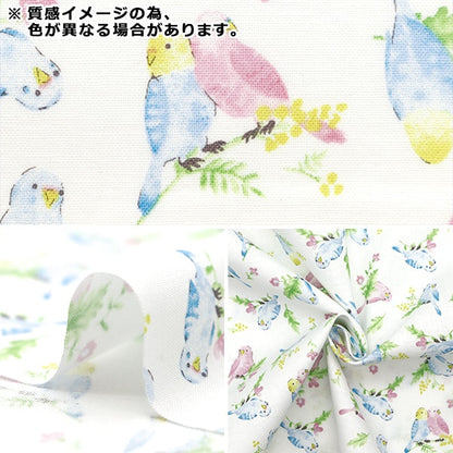 [From quantity 5] Fabric 『Sheeting Colorful canvas watercolor parakeet pattern pink cocan-bir-pk] KOKKA