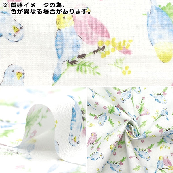 [From quantity 5] Fabric 『Sheeting Colorful canvas watercolor parakeet pattern yellow cocan-bir-ye] KOKKA