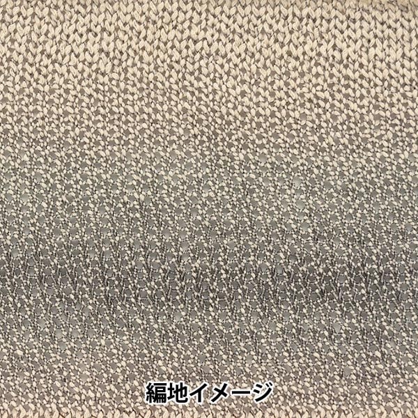 Primavera / EstateFilato "Ecaud Paris n. 1" Richmore Rich di più