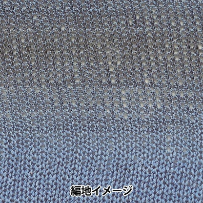 봄 / 여름털실 "Ecaud Paris 4th Color"Richmore Rich