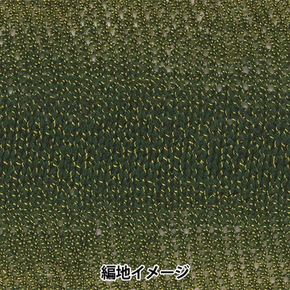 봄 / 여름털실 "Ecaud Paris 9th Color"Richmore Rich