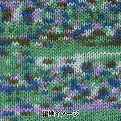 봄 / 여름털실 "Montparnas 3rd Color"Richmore Rich