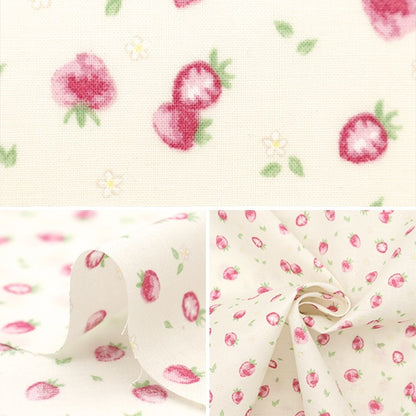 [De la cantidad 5] Fabric "Scare Petit Collection Ichigo White PTC-Stra-Whw"