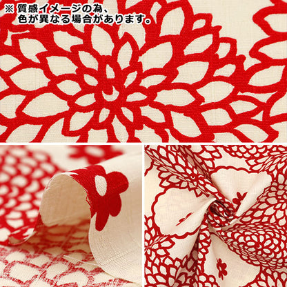 [数量5]织物“ Ukiko Bloth Southern Cross Deco黑色X象牙色UP5924-C”棉花Kobayashi棉花kobayashi kobayashi。